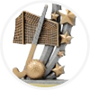 Hockey Trophies