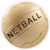 Netball Trophies